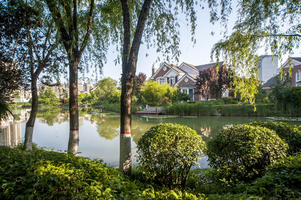 1503888432904418.jpg